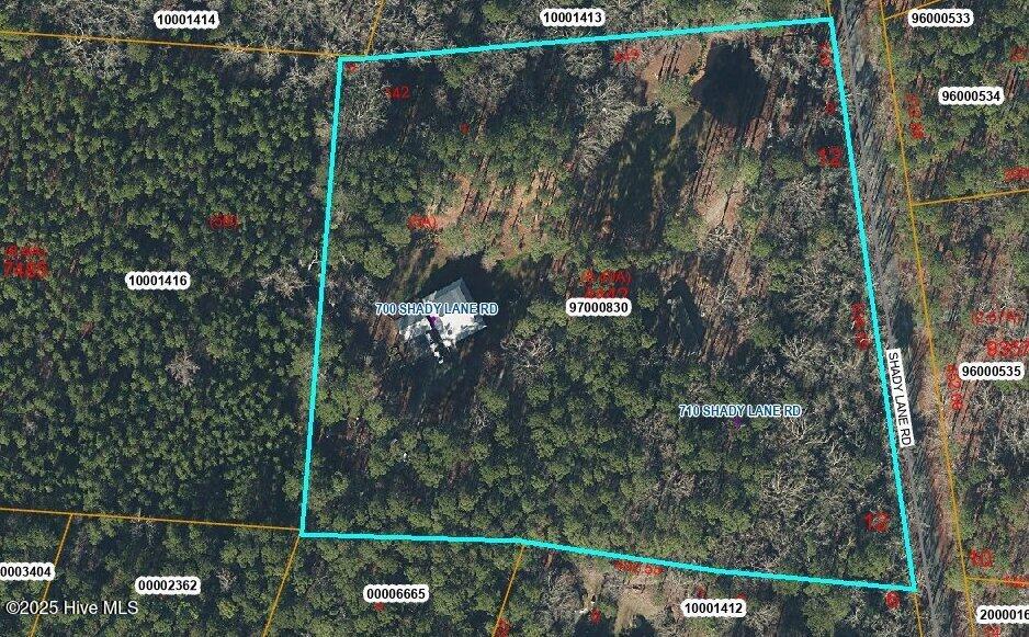 700 Shady Lane Road Carthage, NC 28327 - Photo 103 of 108 GIS Map