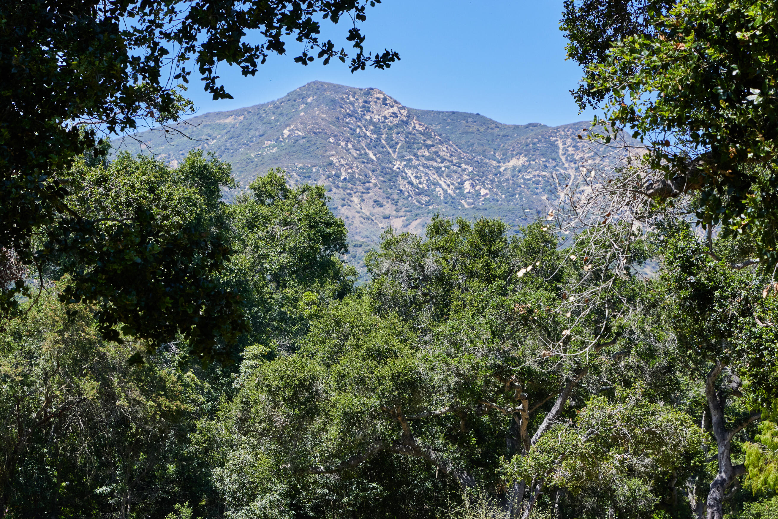 2070 East Valley Road Montecito, CA 93108 - Photo 32 of 34 a view of a field with a tree in the background