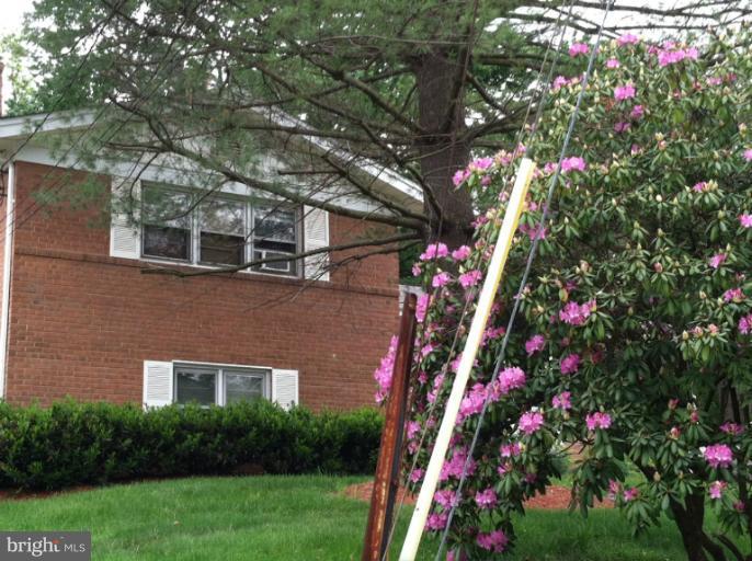 1111 Kathryn Road Silver Spring, MD 20904 - Photo 11 of 29 Exterior (General)