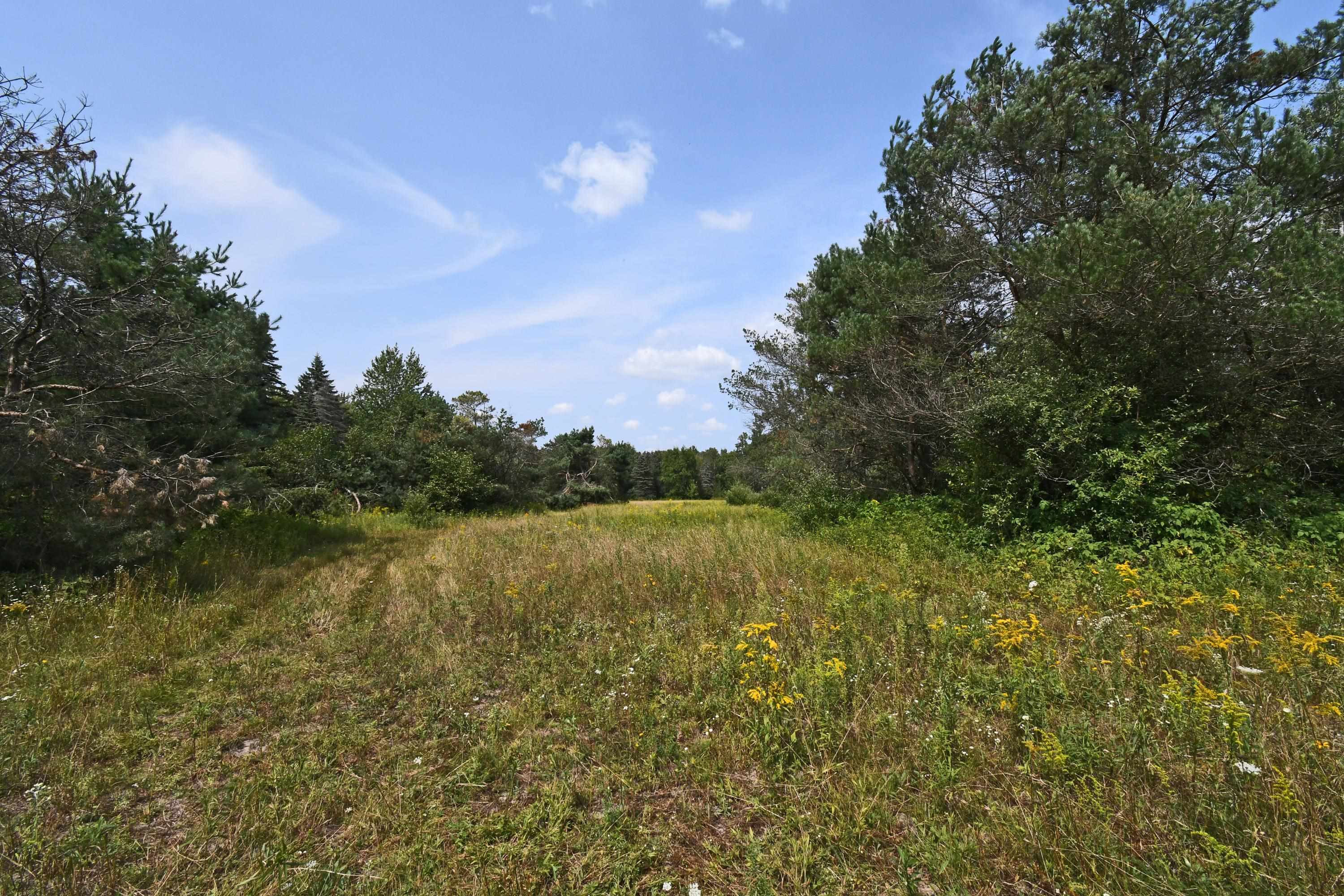 4600 Turtle Road Turner, MI 48765 - Photo 61 of 80