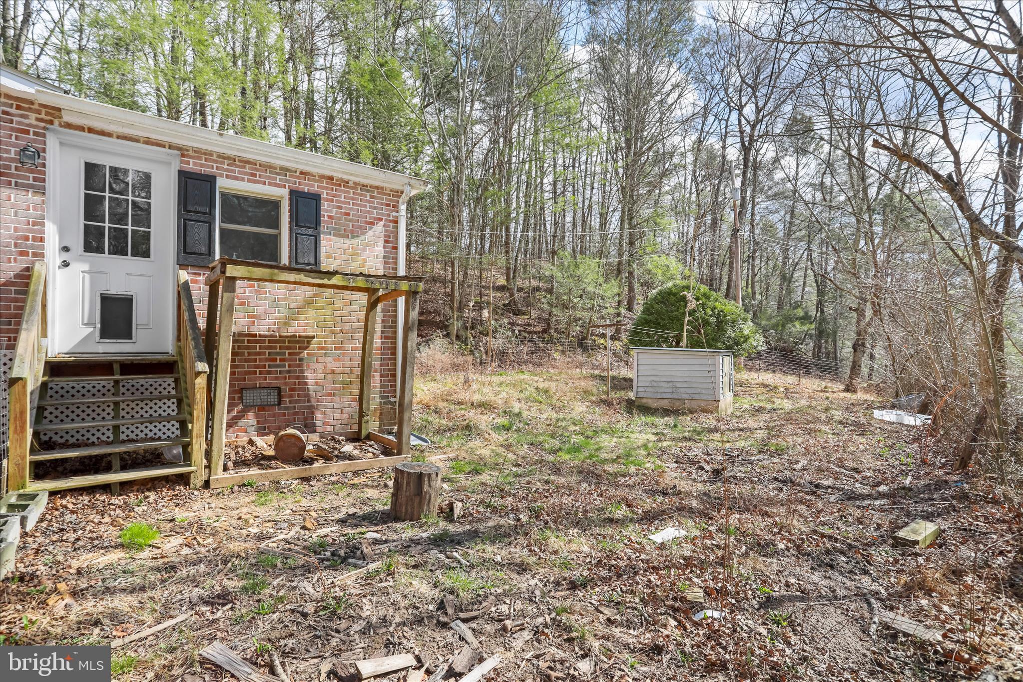 3699 Waites Run Road Wardensville, WV 26851 - Photo 13 of 43 Back Yard