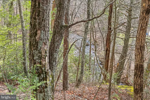 $365,000 | 3699 Waites Run Road, Wardensville, WV 26851