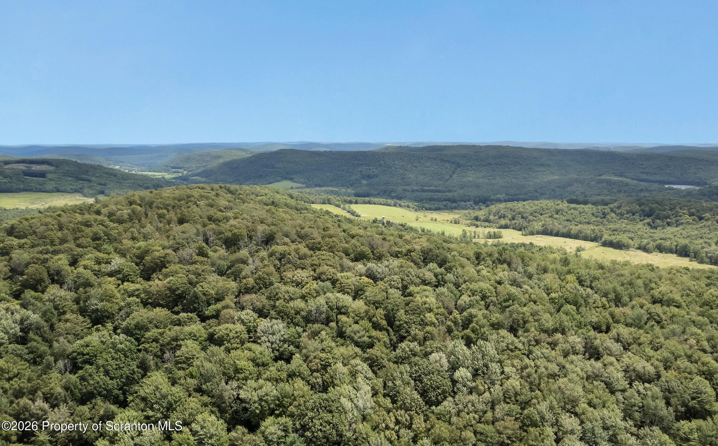 325 Lyons Road Hallstead, PA 18822 - Photo 62 of 62 20240823141919498195000000-o