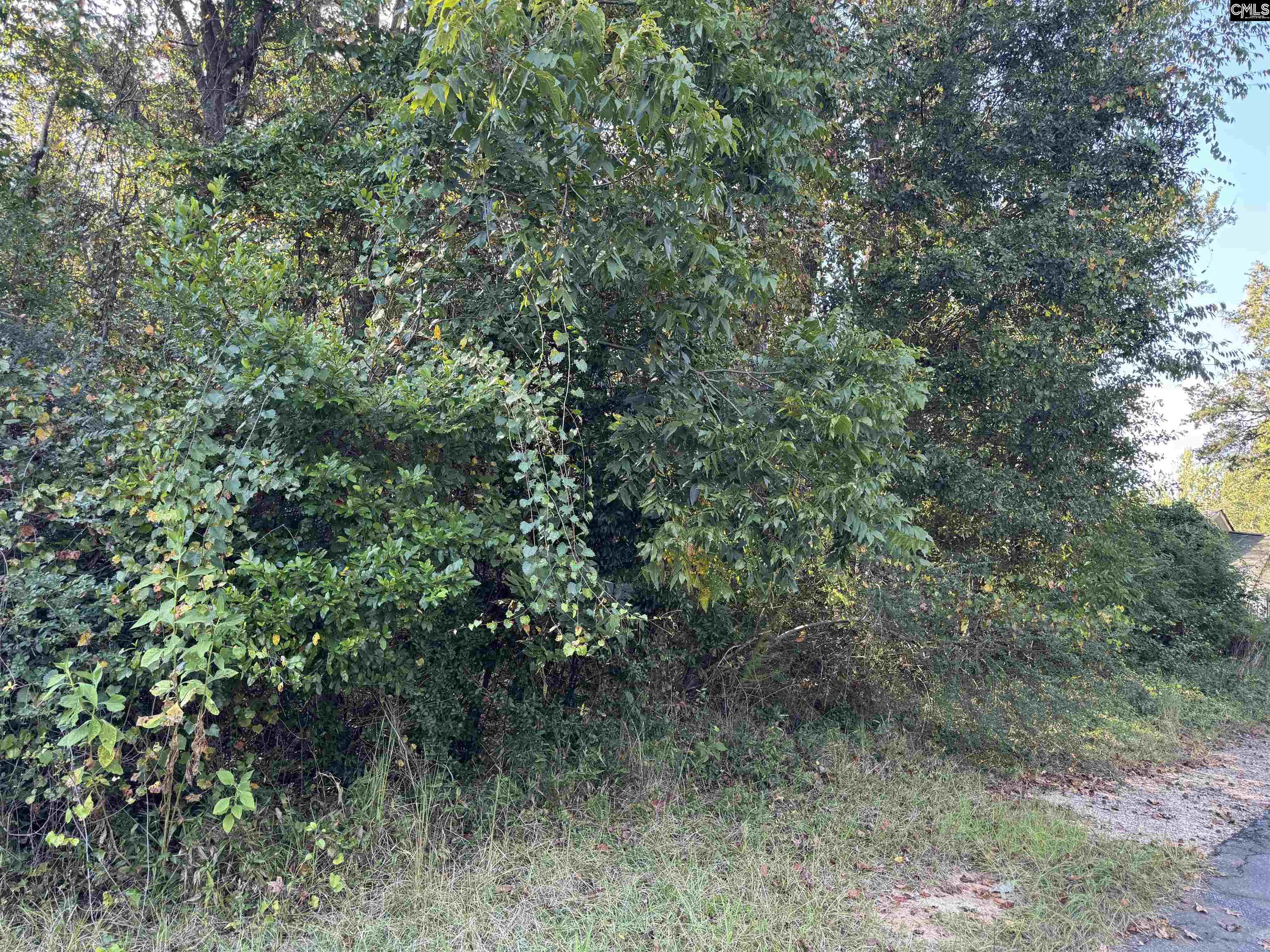 0 Quattlebaum Avenue Ridge Spring, SC 29129 - Photo 7 of 9