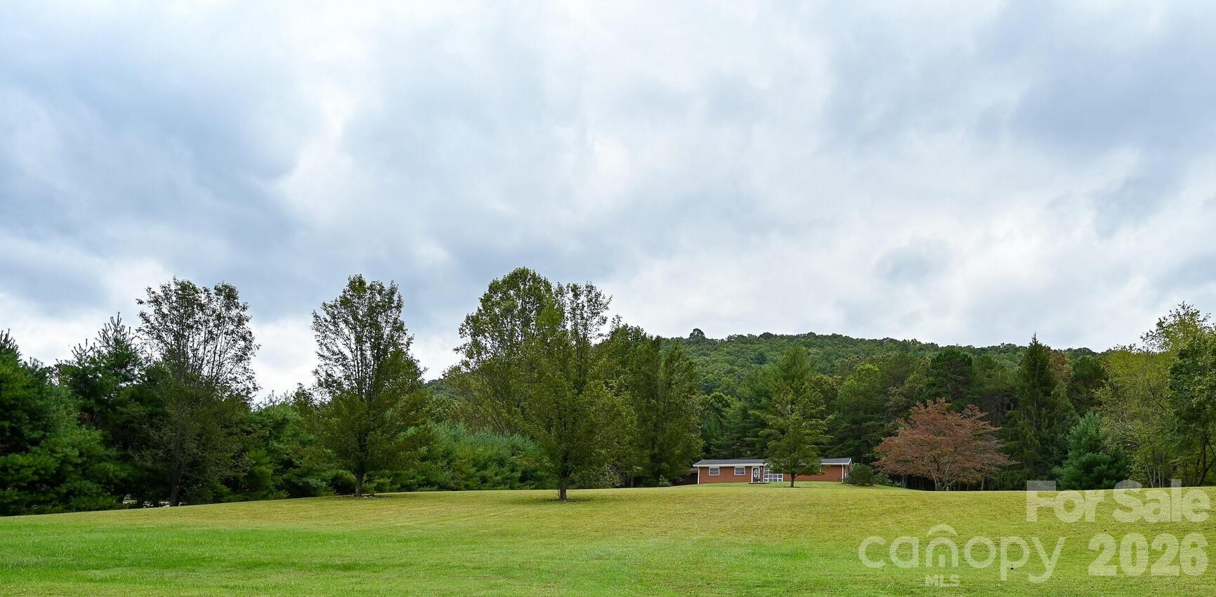 651 Case Cove Road Candler, NC 28715 - Photo 42 of 45 a view of a grassy field with trees in the background