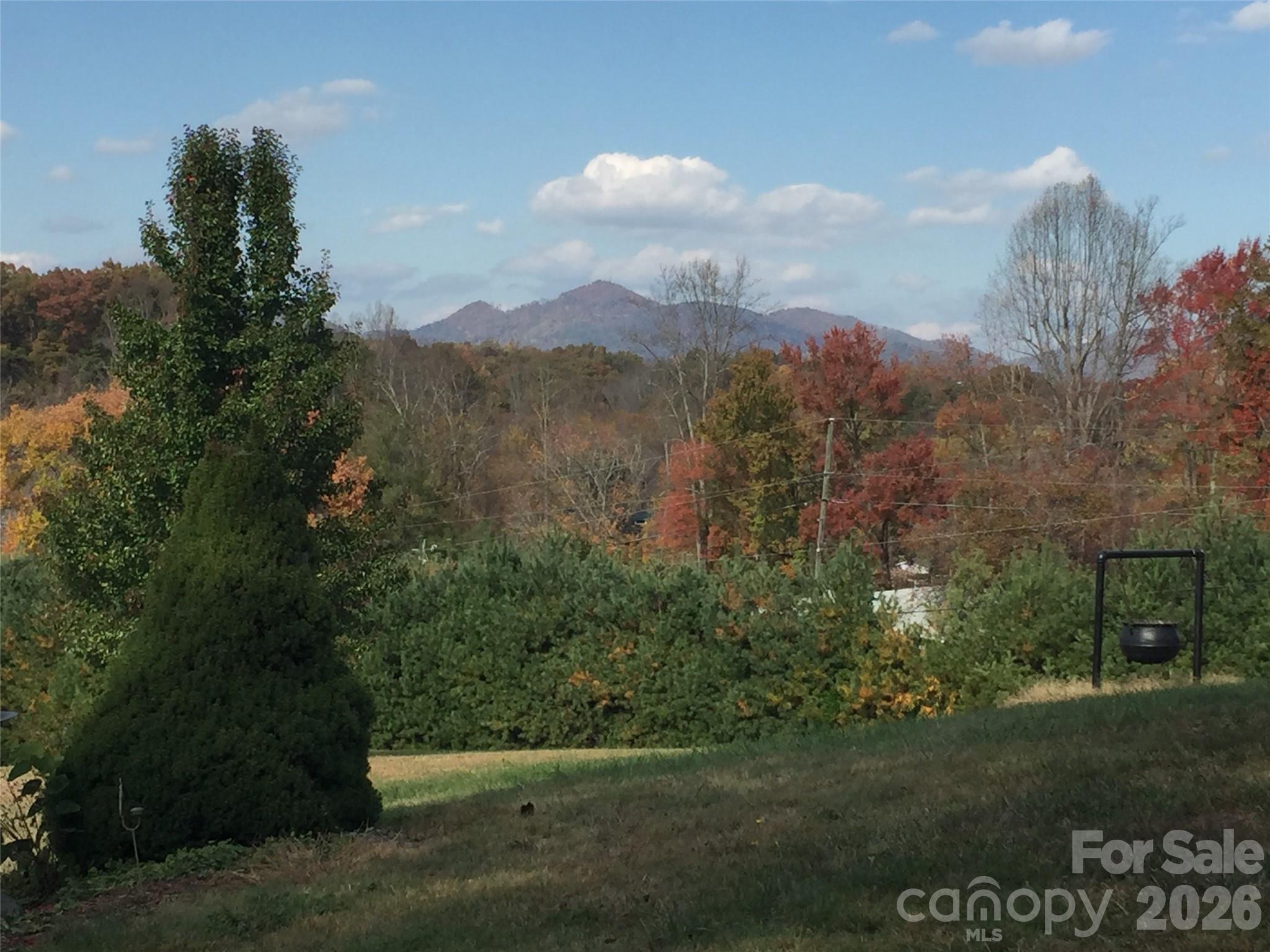 651 Case Cove Road Candler, NC 28715 - Photo 44 of 45