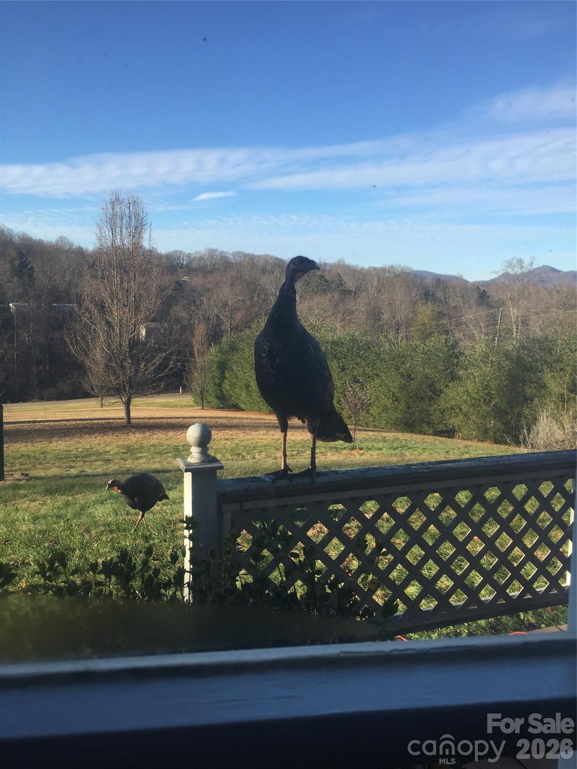 651 Case Cove Road Candler, NC 28715 - Photo 45 of 45