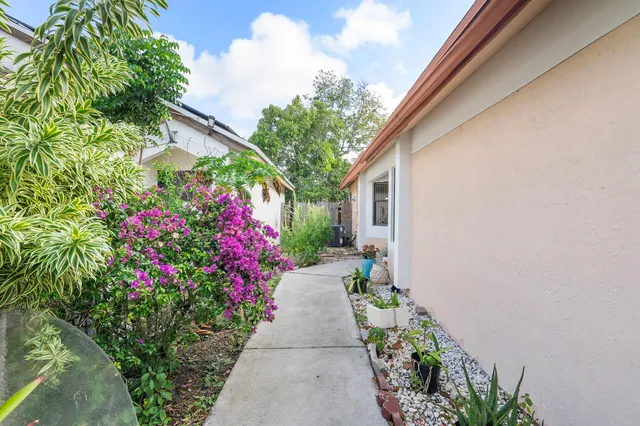 a view of a pathway with flower plants