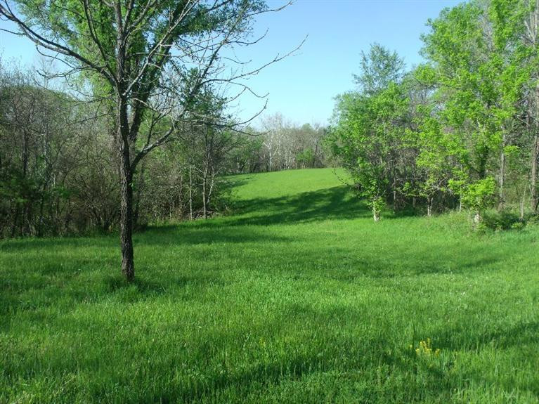 2 Hoophole Road Lawrenceburg, KY 40342 - Photo 4 of 25 Photo 4
