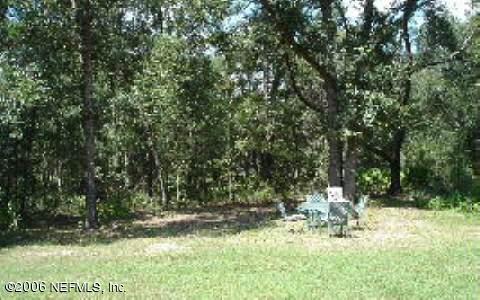 12819 Southwest 61st Place Road Ocala, FL 34481 - Photo 4 of 4 Back Yard