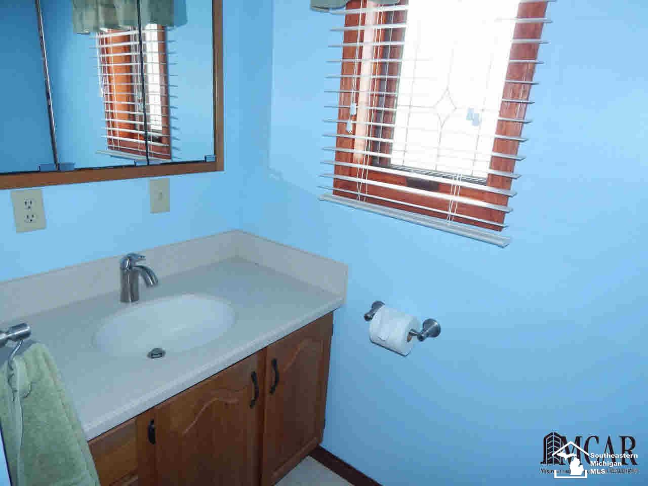 2261 East Rauch Road Erie, MI 48133 - Photo 29 of 38 Full bath