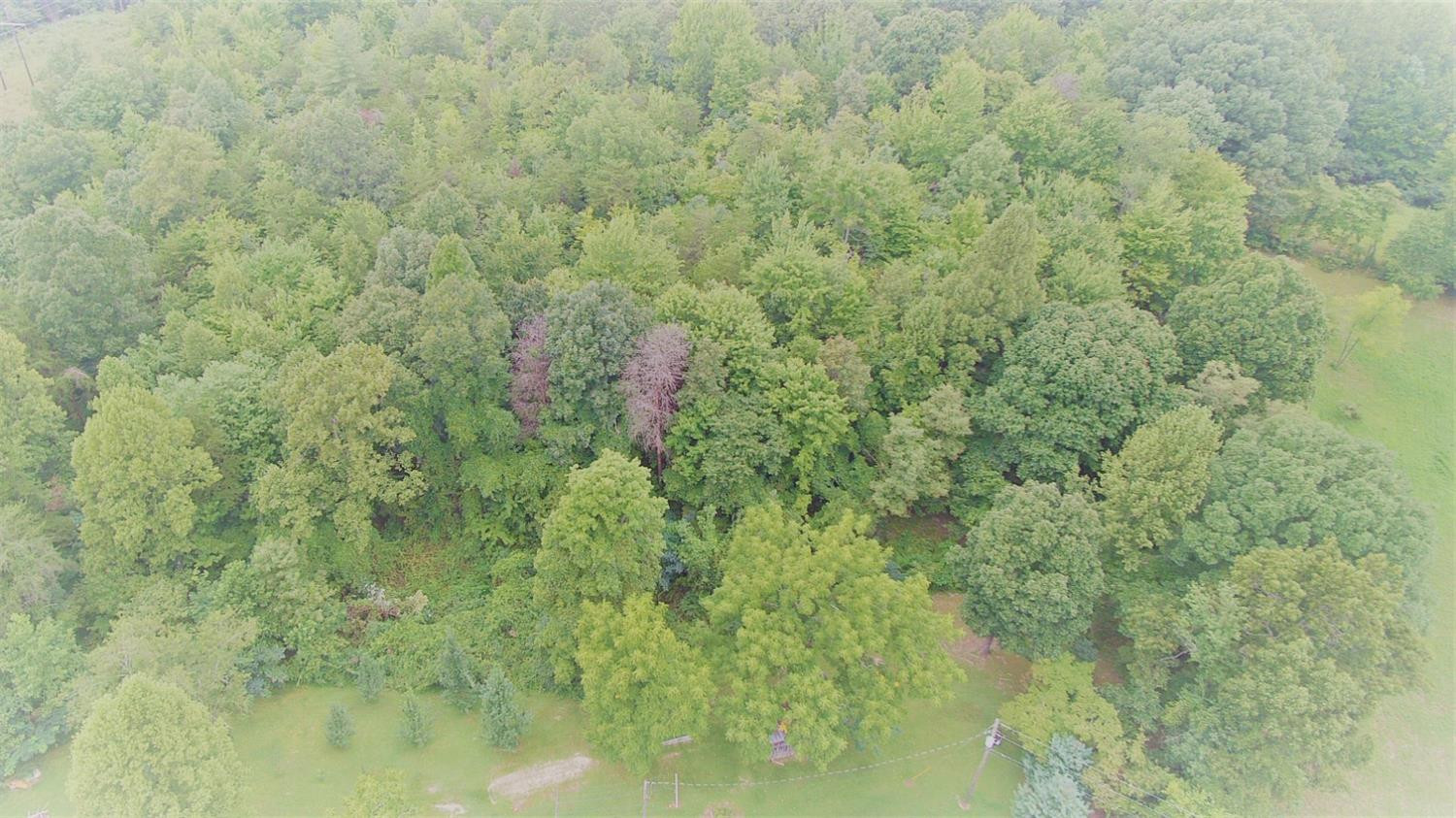 9999 Galimore Road Pine Knot, KY 42635 - Photo 27 of 35 Photo 27