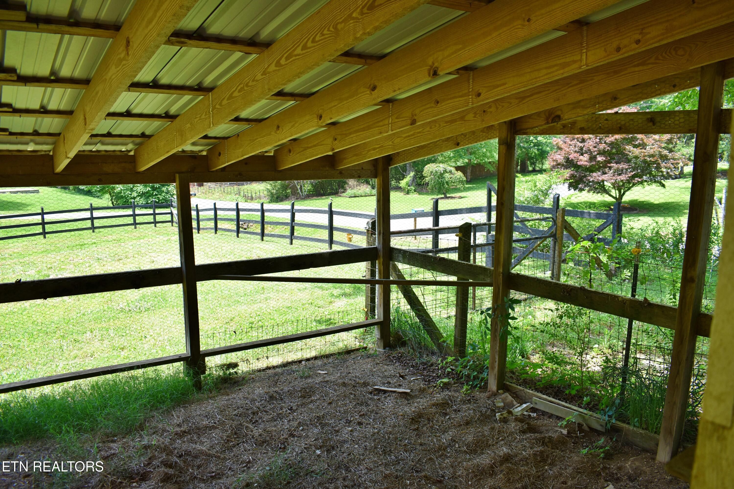 1319 Ideal Valley Road Spring City, TN 37381 - Photo 15 of 49 DSC_0739