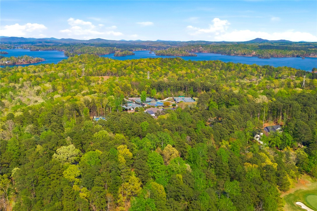 9 Tradewinds Way Salem, SC 29676 - Photo 37 of 45 This elevated view captures a sprawling landscape of lush greenery meeting a serene lake.