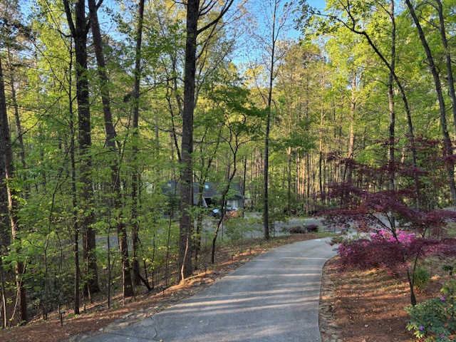 9 Tradewinds Way Salem, SC 29676 - Photo 4 of 45 A tranquil tree-lined driveway leads to a secluded home nestled within lush foliage.