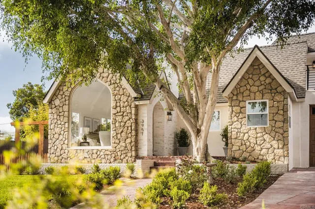 a view of a yard with plants and large trees