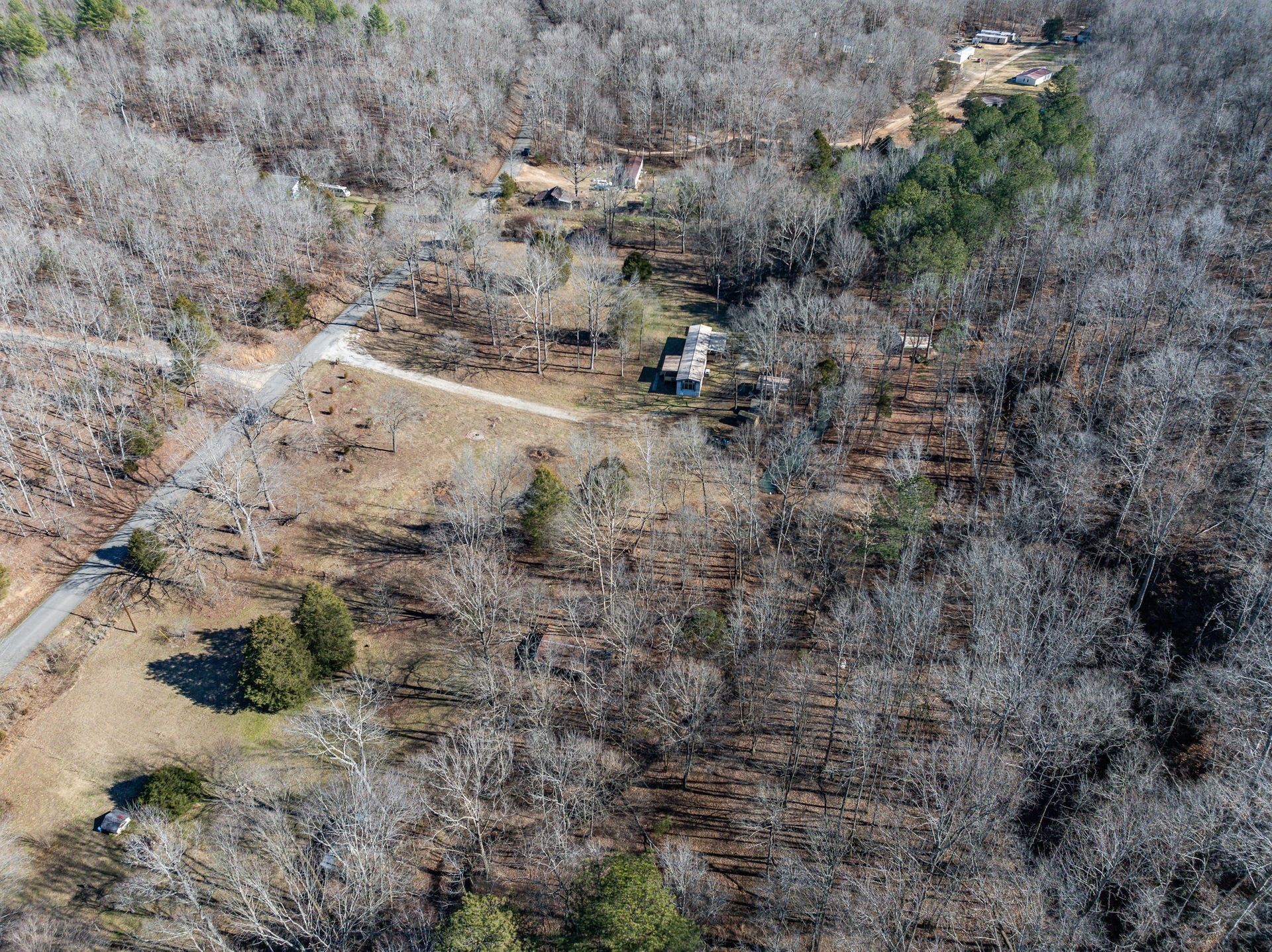 1195 Bucket Branch Road Waverly, TN 37185 - Photo 8 of 48 Gallery Image 8