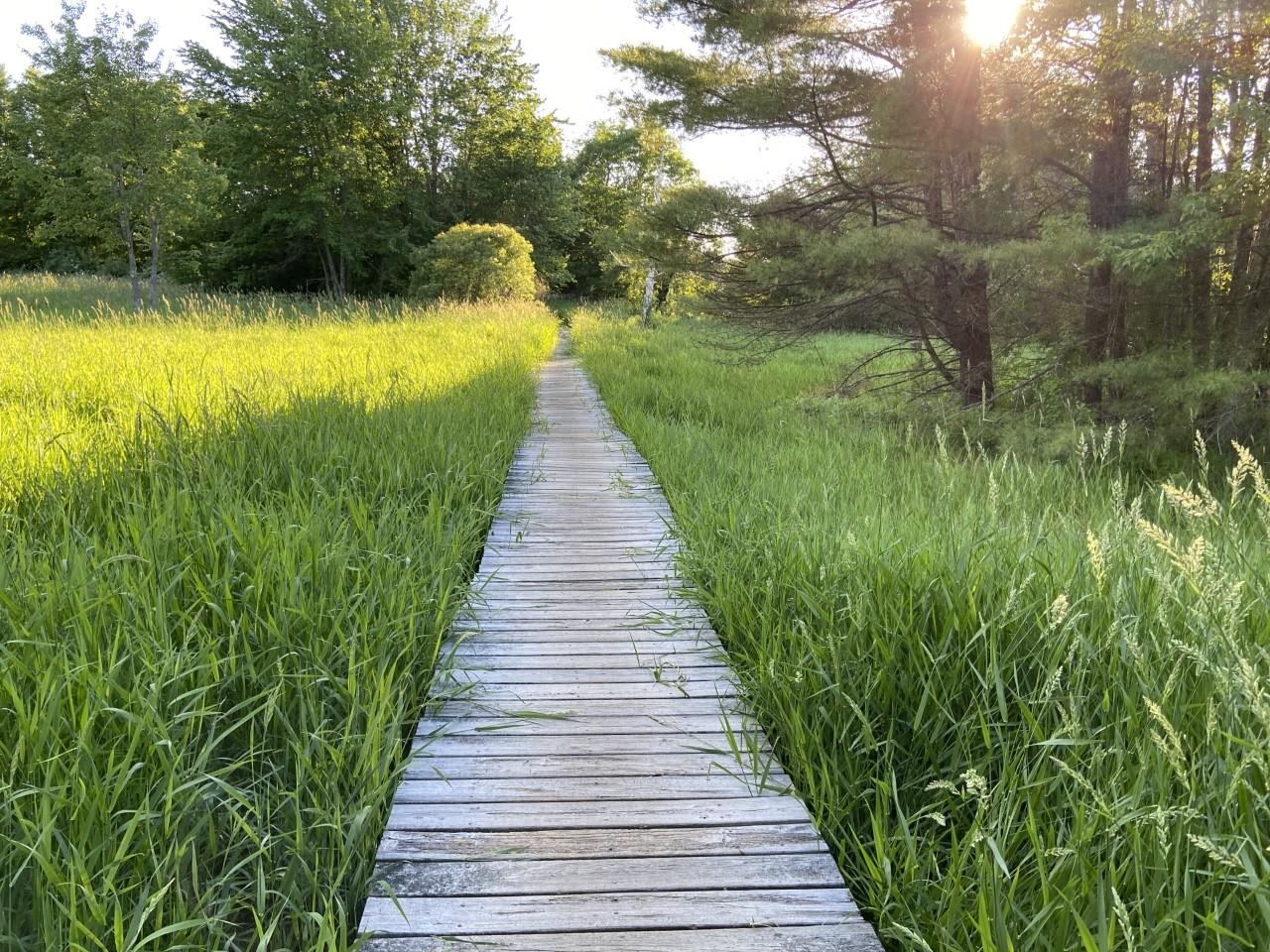 60 Cumberland Road Gilford, NH 03249 - Photo 30 of 37