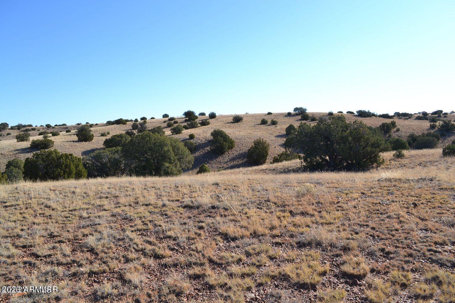 259 County Road Concho, AZ 85924 - Photo 40 of 58 0368FF5310F4B781