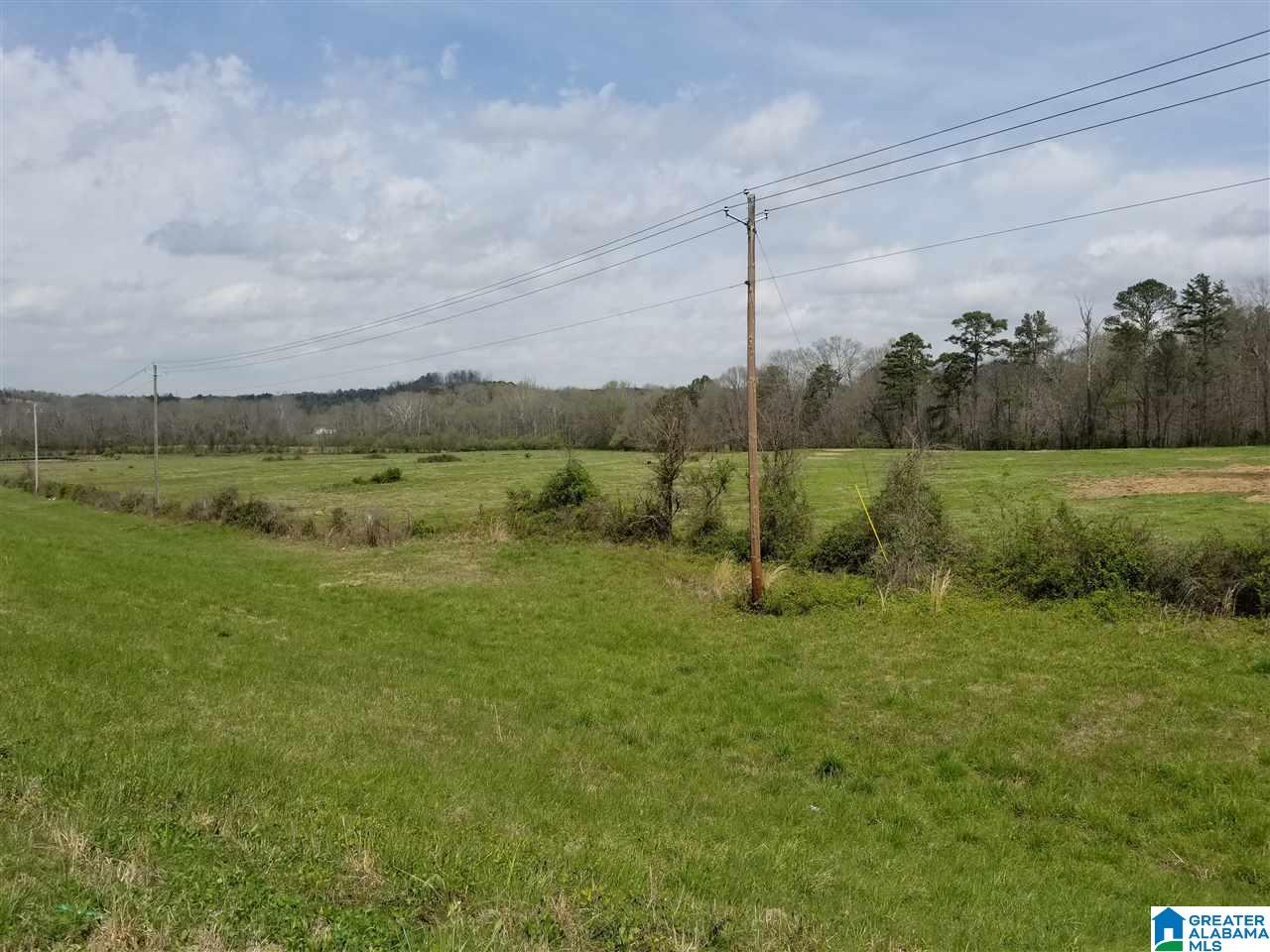 26 County Road Ashville, AL 35953 - Photo 3 of 6
