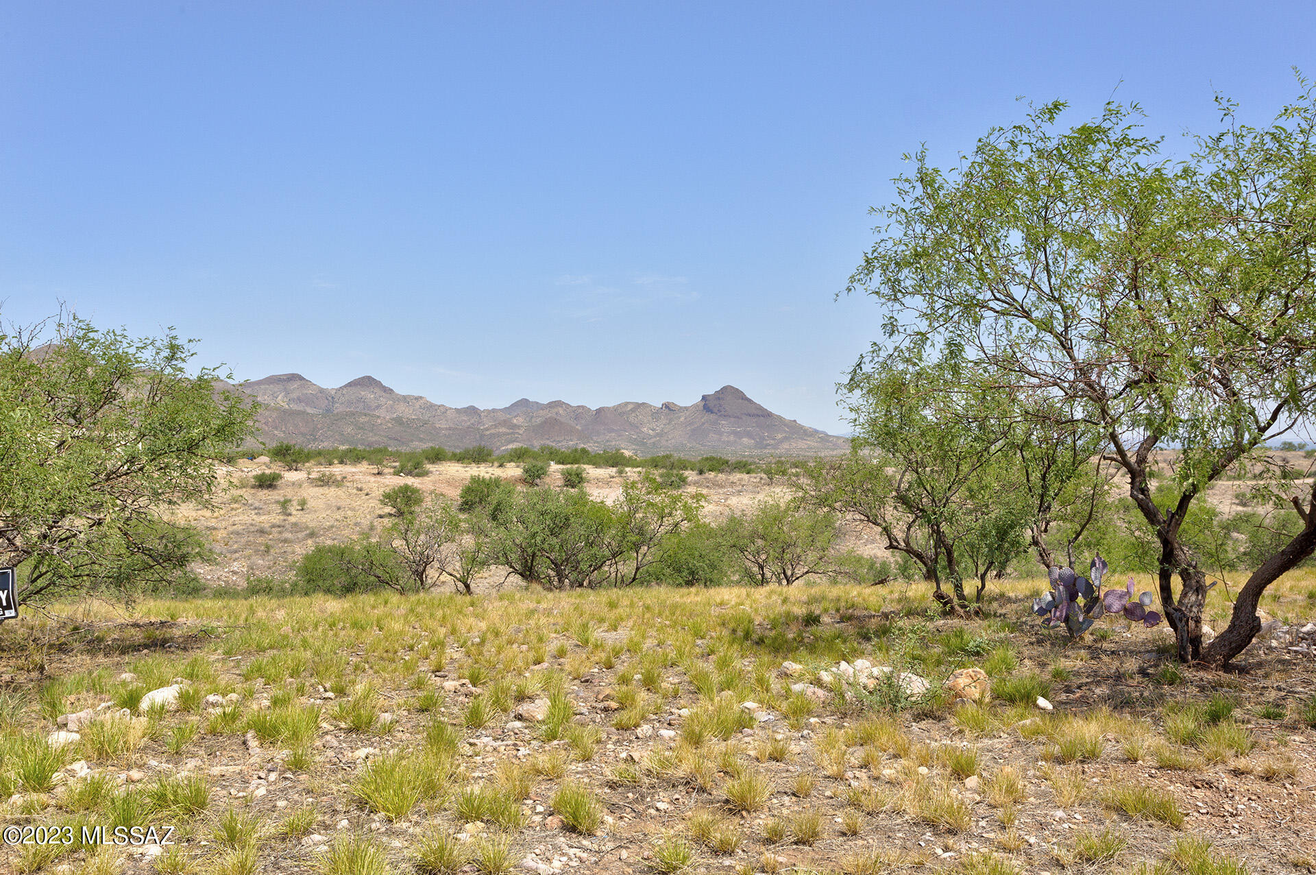 755 Dorotea Court Rio Rico, AZ 85648 - Photo 40 of 41