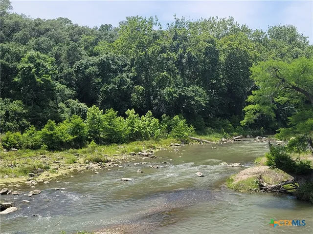 a view of a yard with plants and large trees