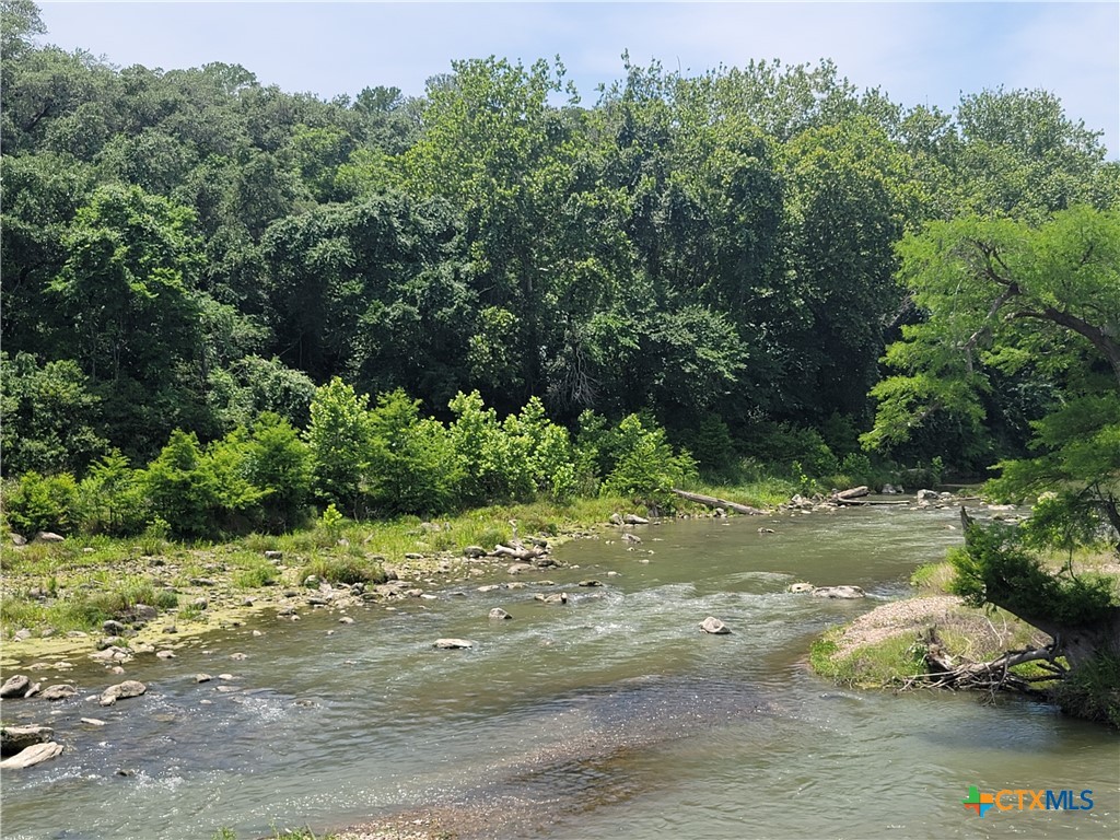 564 Cypress Valley Road Cuero, TX 77954 - Photo 2 of 33 a view of a yard with plants and large trees