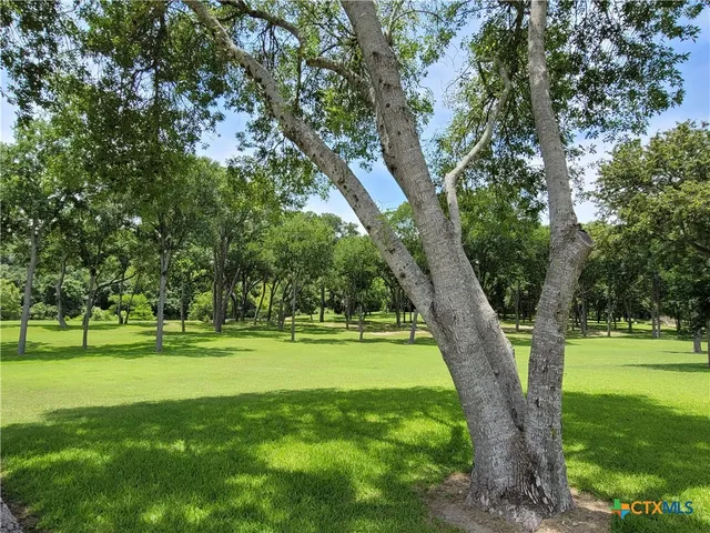 a view of a golf course with a trees