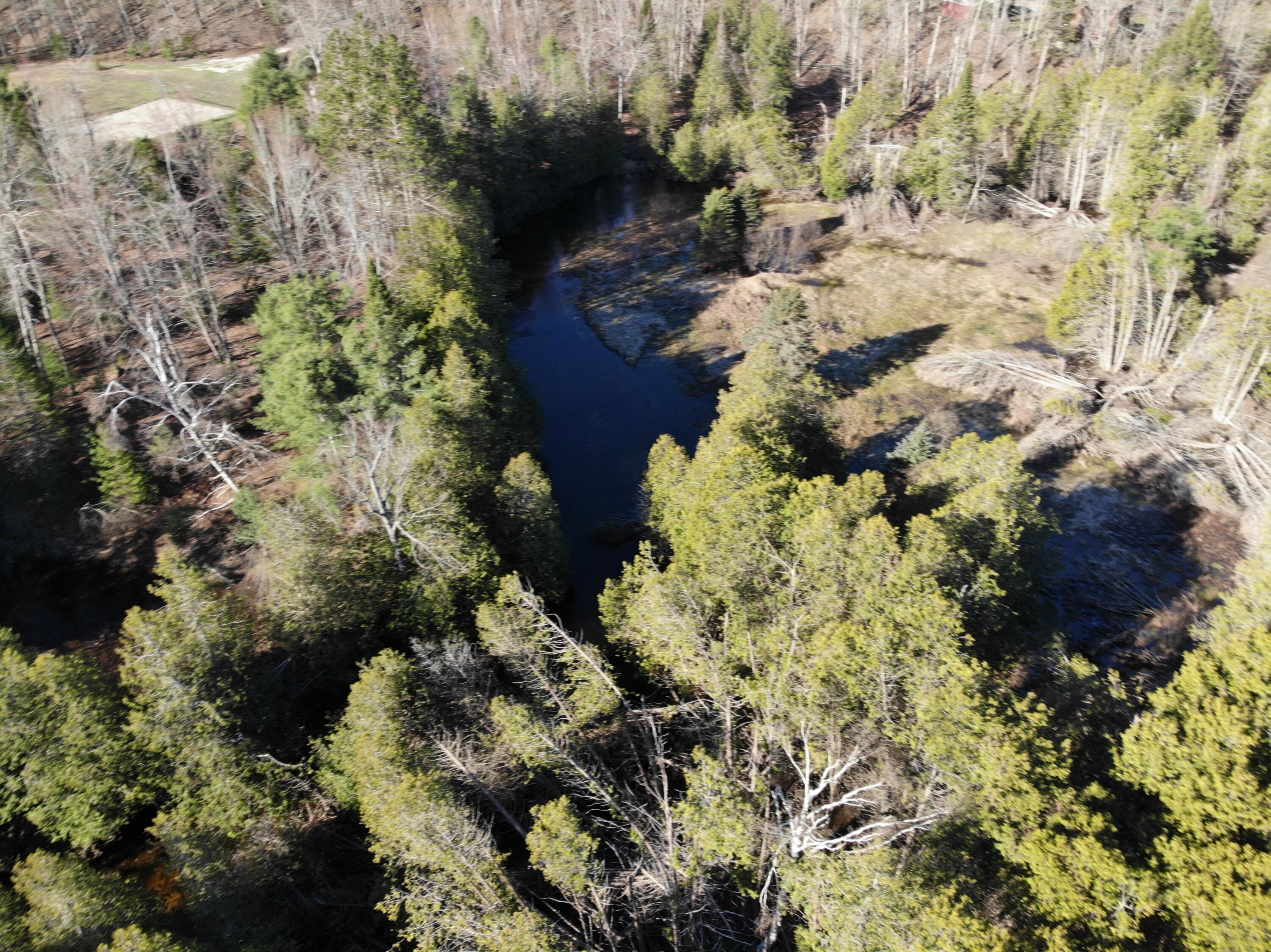 2526 Gregory Road Brutus, MI 49716 - Photo 27 of 29 DJI_0493