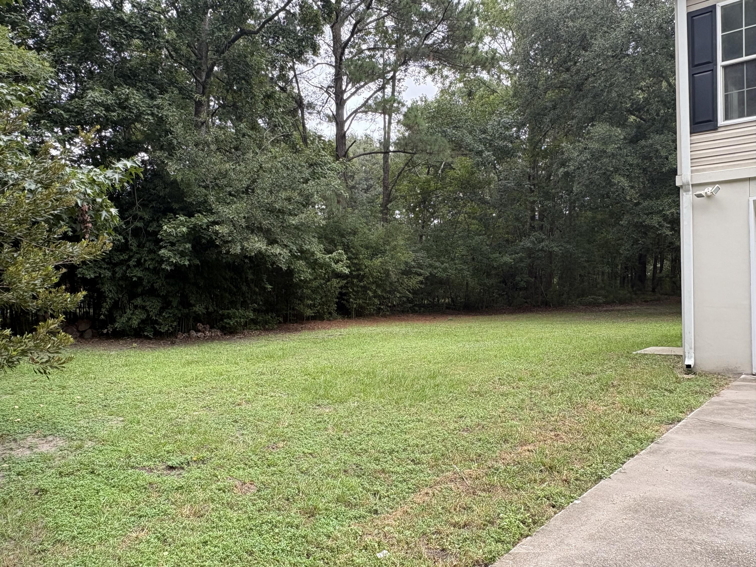 3014 Marlin Road Johns Island, SC 29455 - Photo 16 of 18 3014 Marlin side yard