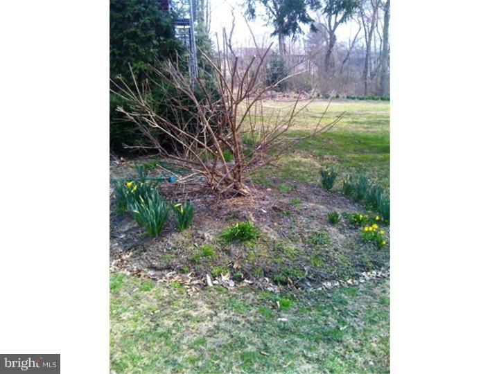 303 Kresson Road Voorhees, NJ 08043 - Photo 13 of 24 Exterior