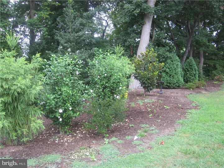 303 Kresson Road Voorhees, NJ 08043 - Photo 3 of 24 Exterior