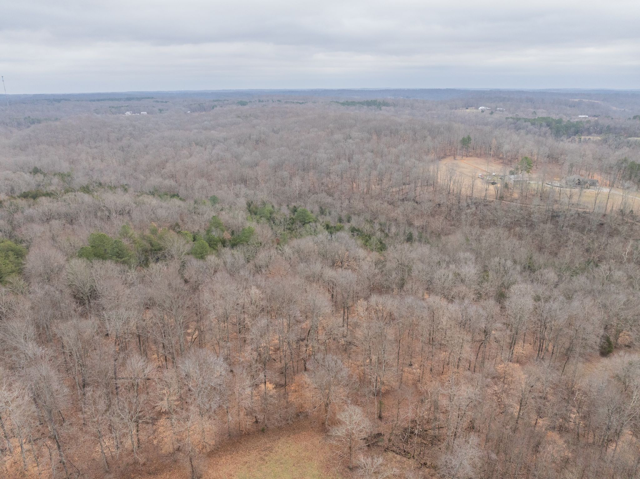 0 Wiley Branch Road Dickson, TN 37055 - Photo 7 of 27