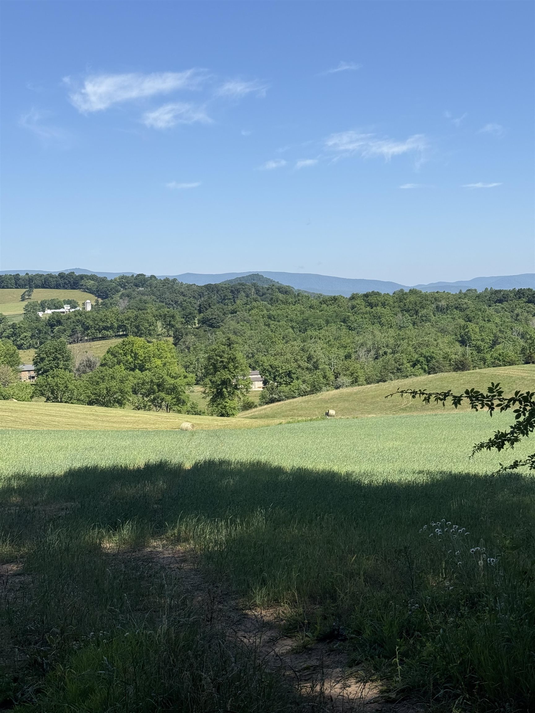 Tbd Arborhill Road Staunton, VA 24401 - Photo 15 of 25