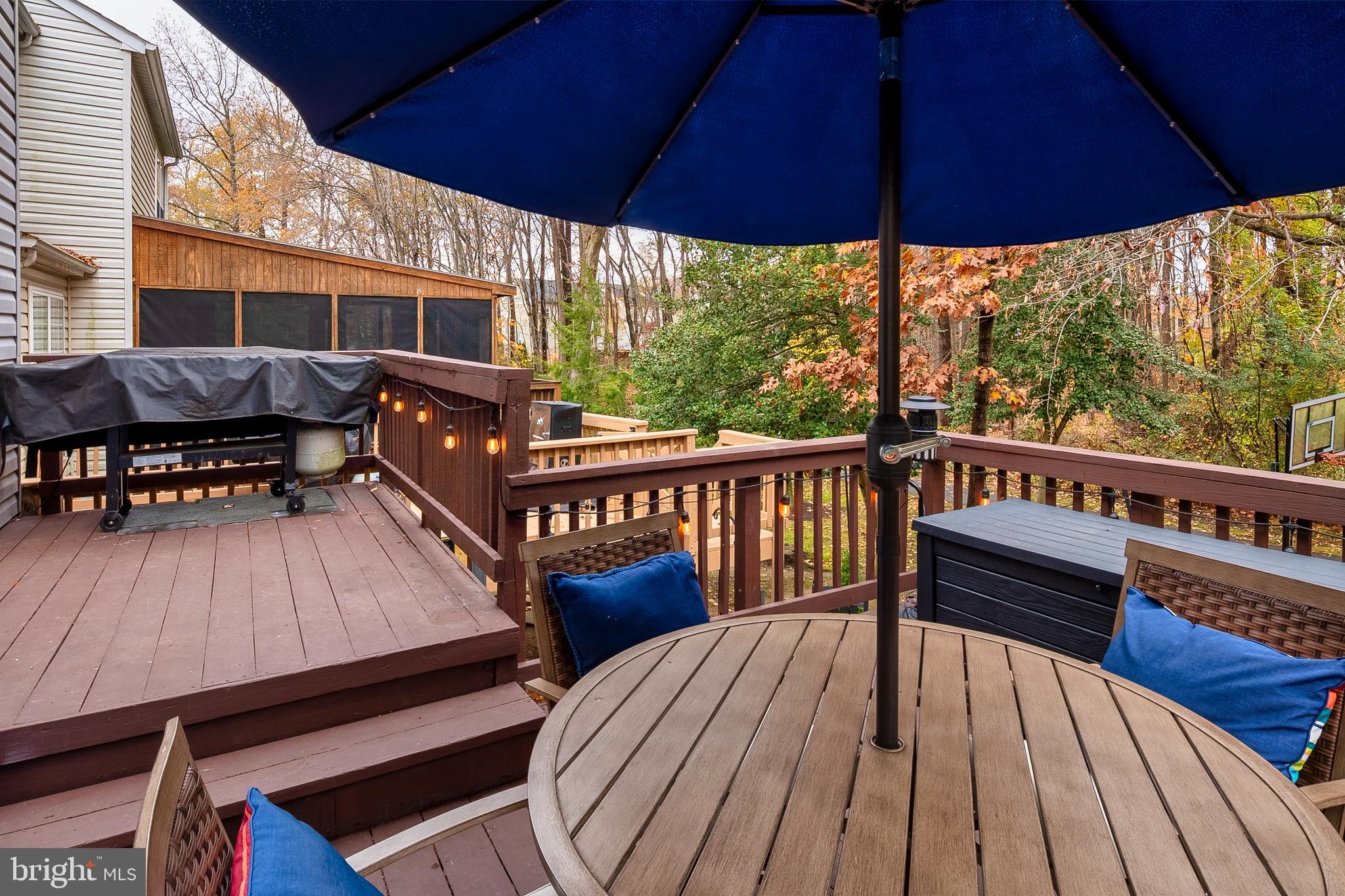 222 Gray Fox Court Edgewater, MD 21037 - Photo 27 of 42 a view of a two chairs in the deck under an umbrella