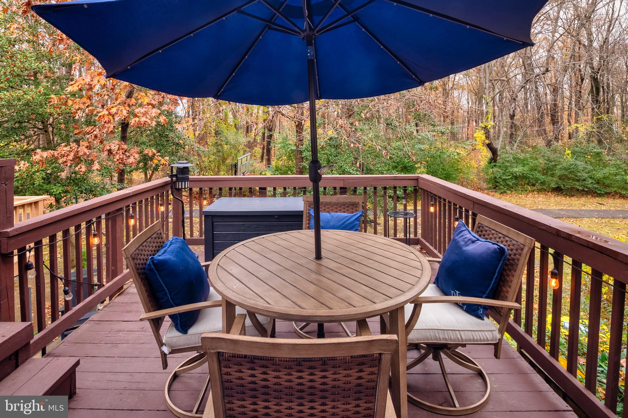 222 Gray Fox Court Edgewater, MD 21037 - Photo 28 of 42 a view of balcony with furniture and umbrella