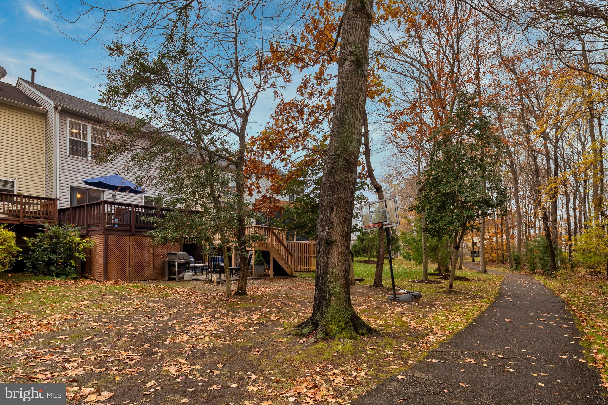 222 Gray Fox Court Edgewater, MD 21037 - Photo 31 of 42 a view of a trees with a tree