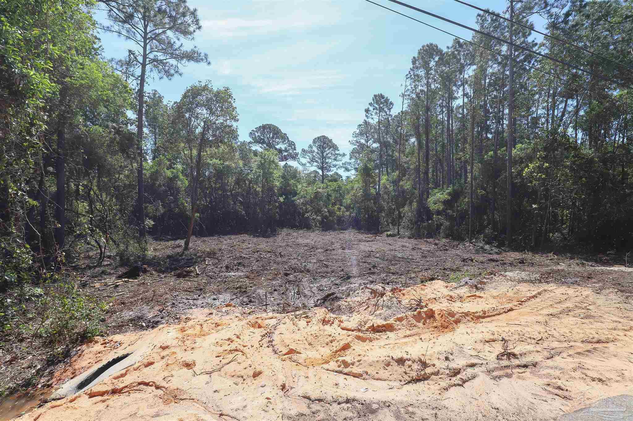 3134 Wells Beach Road Navarre, FL 32566 - Photo 2 of 6 a view of a yard with a tree