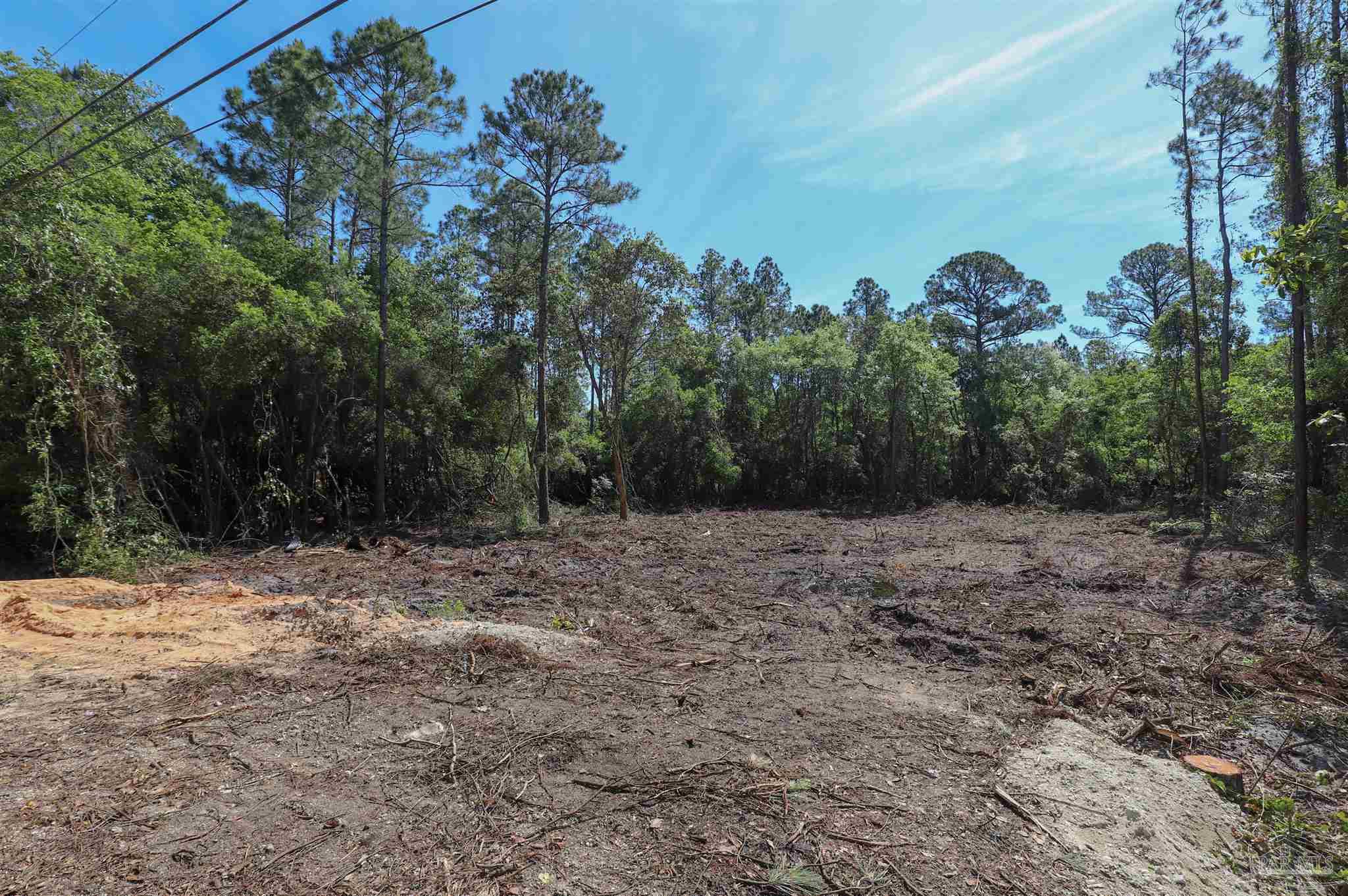 3134 Wells Beach Road Navarre, FL 32566 - Photo 3 of 6 a view of a yard with a tree