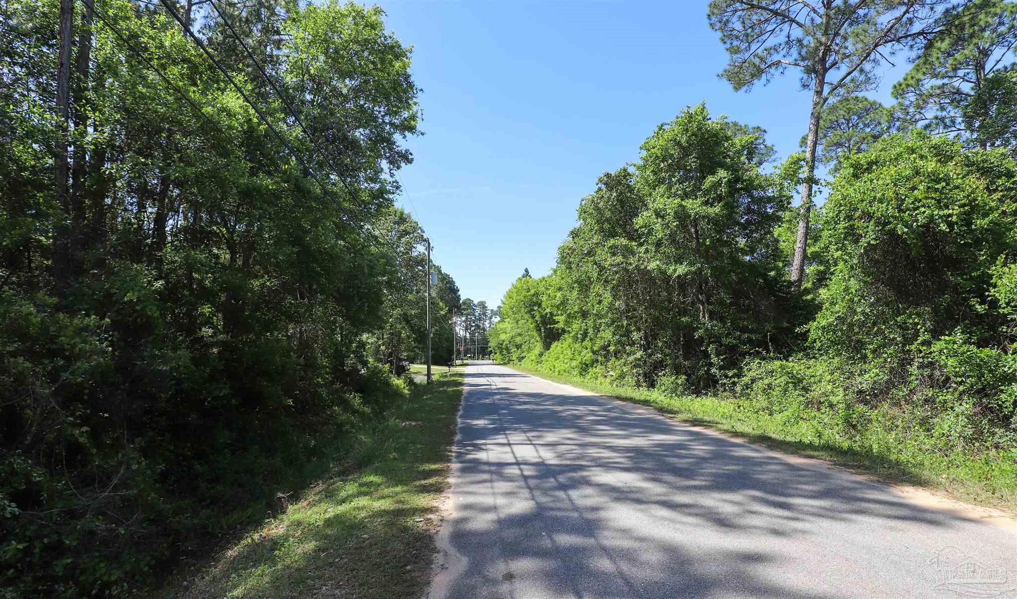 3134 Wells Beach Road Navarre, FL 32566 - Photo 4 of 6 a view of a yard with plants and trees