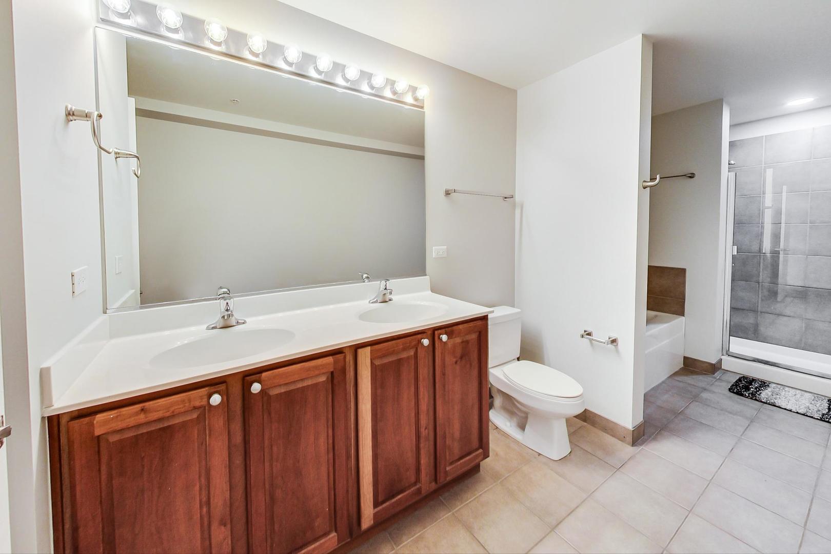 1717 South Prairie Avenue, Unit 802 Chicago, IL 60616 - Photo 13 of 33 a bathroom with a double vanity sink mirror and toilet
