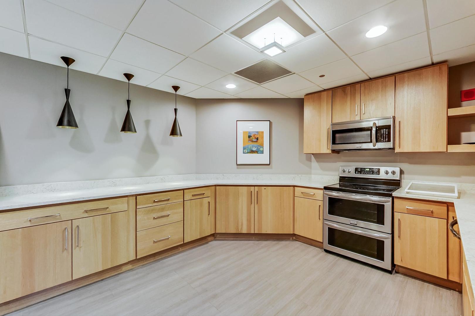 1717 South Prairie Avenue, Unit 802 Chicago, IL 60616 - Photo 26 of 33 a kitchen with stainless steel appliances granite countertop a stove and a sink