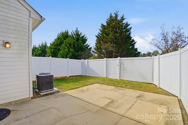 a view of backyard and tree