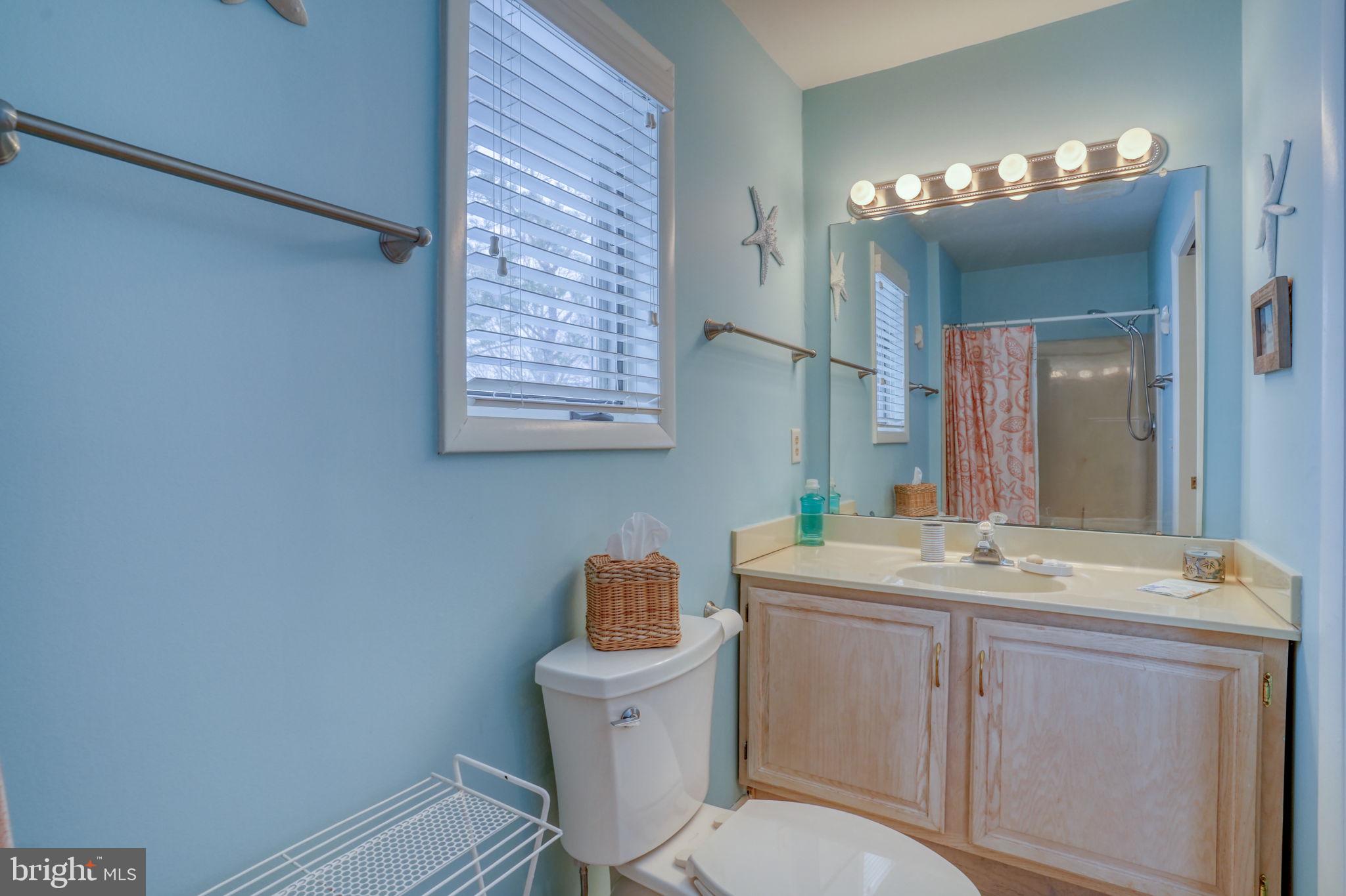 18488 Belle Grove Road, Unit 3 Lewes, DE 19958 - Photo 39 of 48 a bathroom with a sink a toilet and mirror