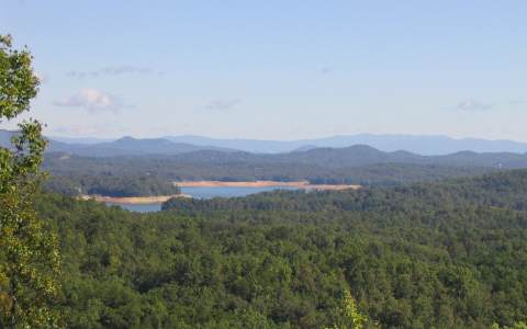 31 Lakeview Blue Ridge Blue Ridge, GA 30513 - Photo 1 of 1 Main View