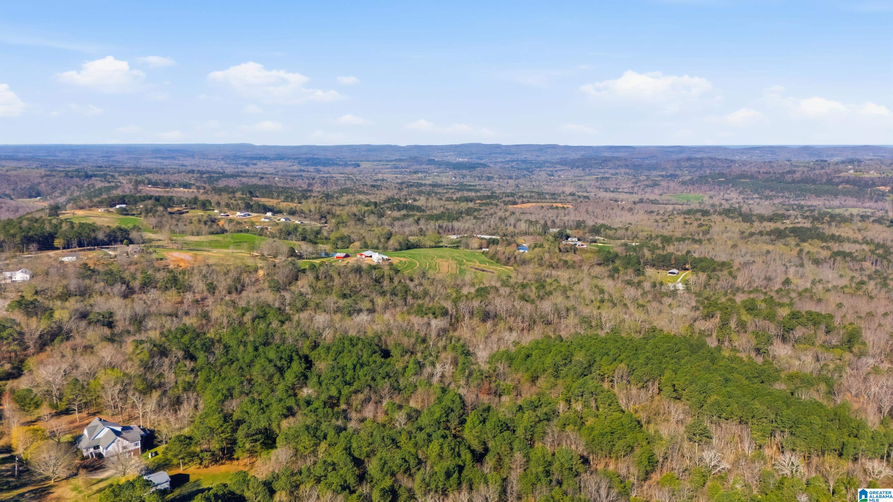 3710 Ebell Road Oneonta, AL 35121 - Photo 41 of 41 Gallery Image 41
