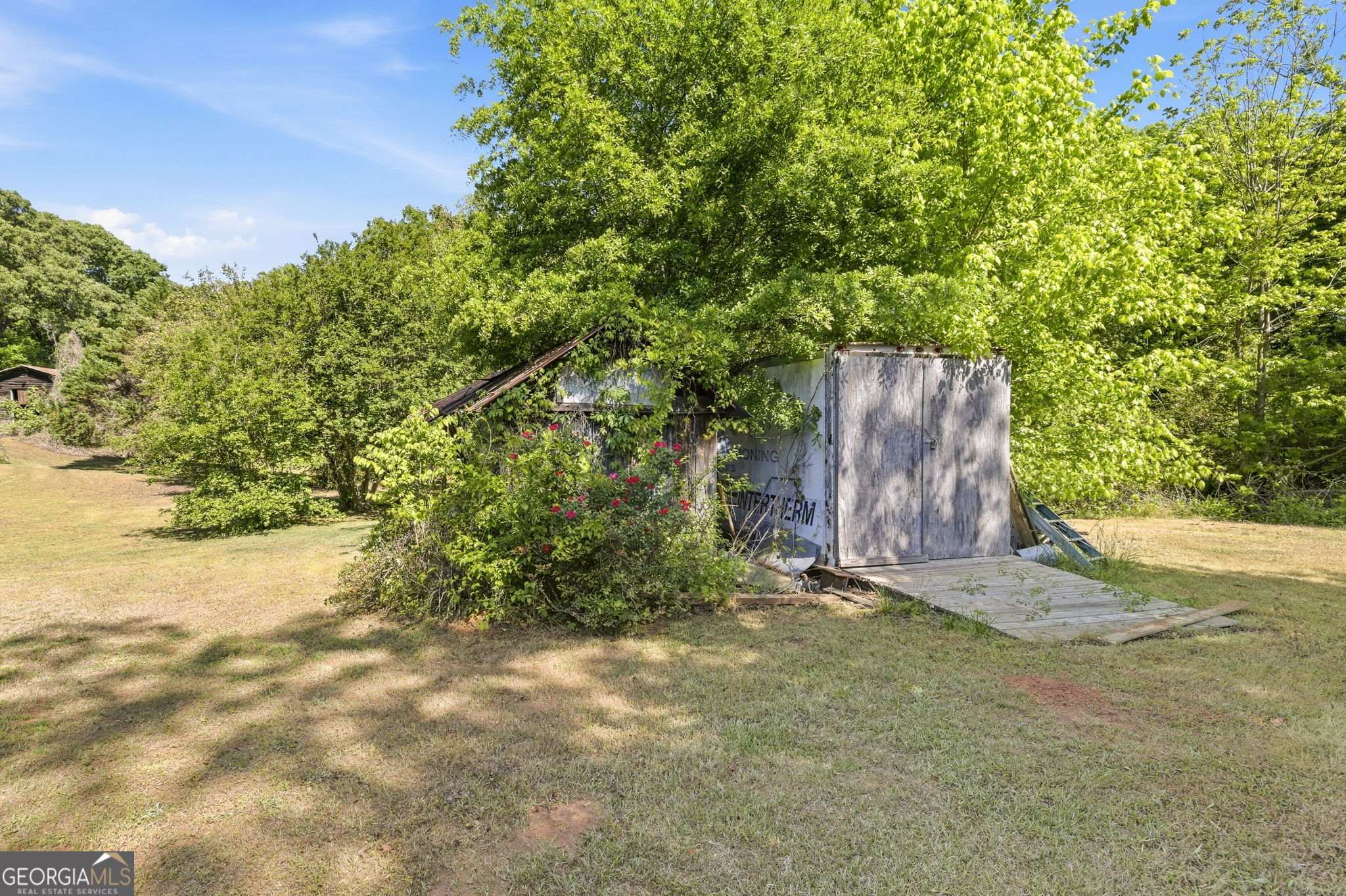 3213 Highway 326 Commerce, GA 30530 - Photo 31 of 40 a view of a backyard with plants and large trees