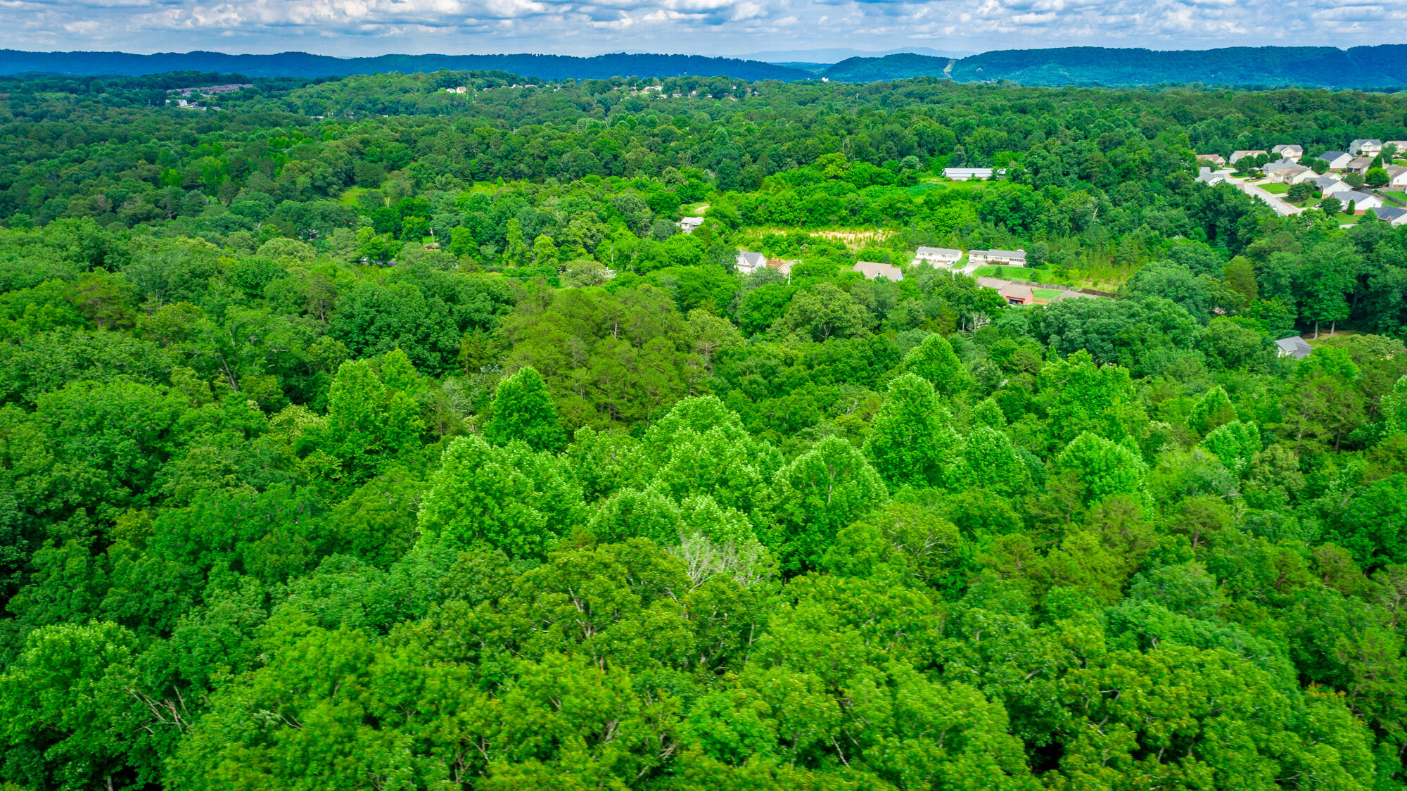 1230 Baggett Road Ringgold, GA 30736 - Photo 36 of 54 Baggett Road Lot HD-37