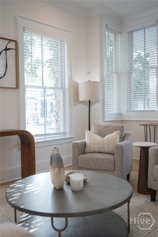 216 West 43rd Street Savannah, GA 31401 - Photo 8 of 32