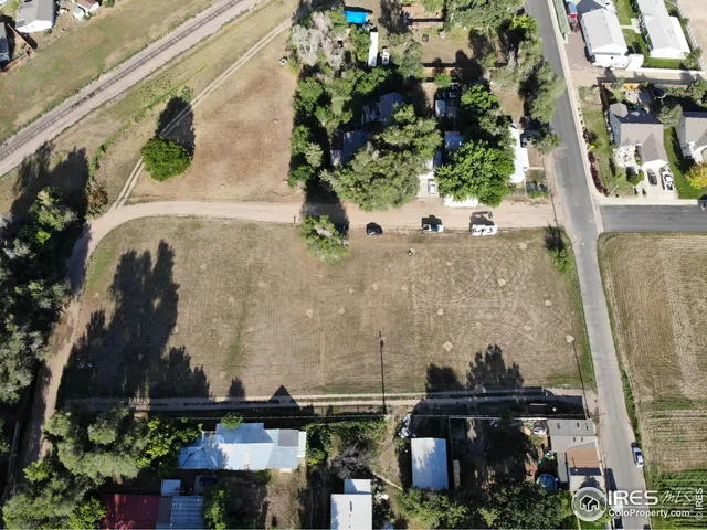 a picture of flowers